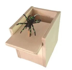 Prank Scare Box BUY 1 GET 1 FREE